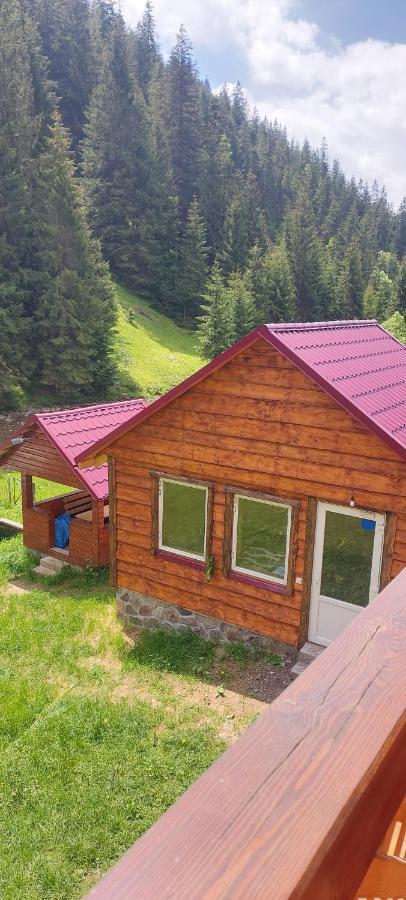 Hotel Крайня Хата Synevyrsʼka Polyana Exterior foto